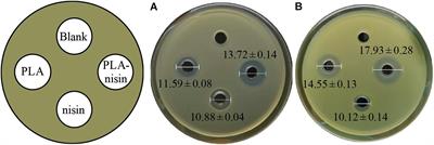 Combinational Antibacterial Activity of Nisin and 3-Phenyllactic Acid and Their Co-production by Engineered Lactococcus lactis